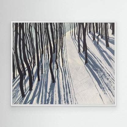 Snow Shadow - fine art canvas (framed or unframed)